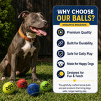 Dog playing with colorful Insum fetch toy balls
