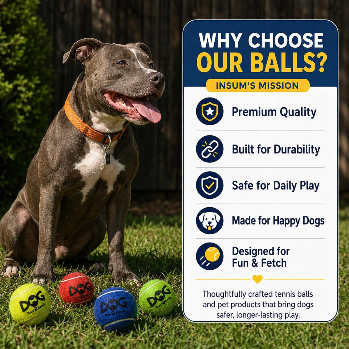 Dog playing with colorful Insum fetch toy balls