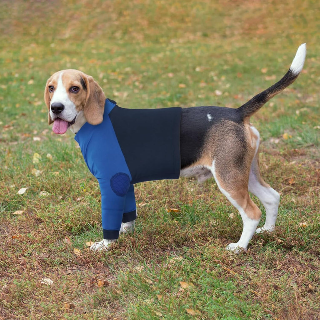 LeLePet post surgery upper body suit for male and female dogs
