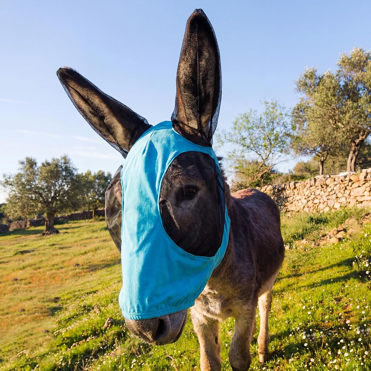 Yeyeplum Mini Donkey Fly Mask with Ears front view