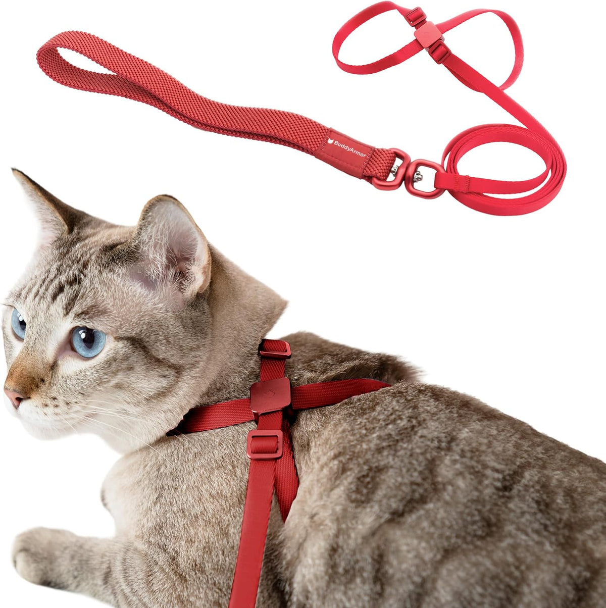 Cat Harness and Leash 2-in-1, Escape Proof Anti-Choking Harness Adjustable Lightweight Leash One-Piece Non-Detachable for Kitten Cats Outoor Walking Training, US IDA Bronze Award (Purple) - Image 14