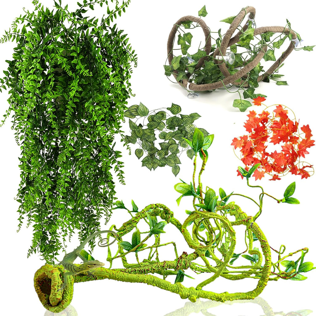 Grddaef reptile vines and hanging plants set front view