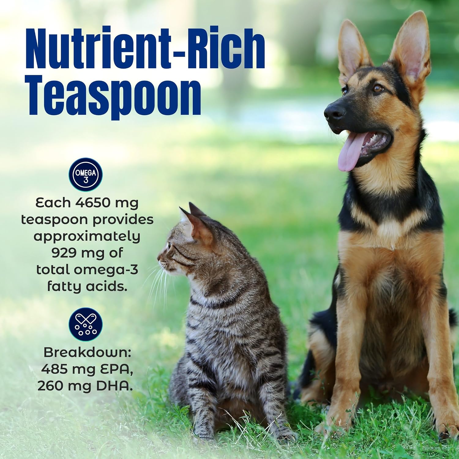Natural EPA and DHA liquid supplement for dog joint support