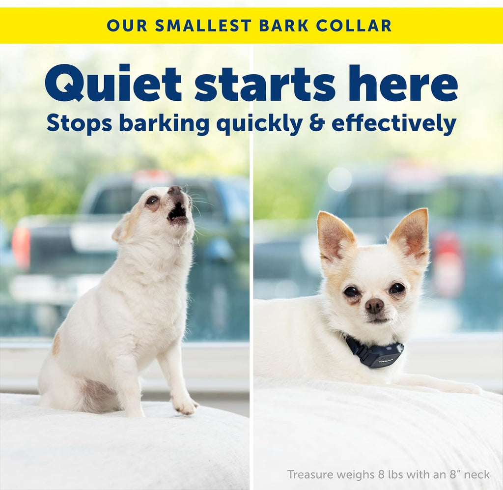 PetSafe NanoBark 2.0 for small dogs on white background