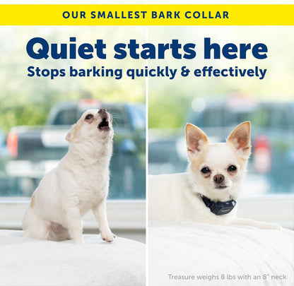 PetSafe NanoBark 2.0 for small dogs on white background