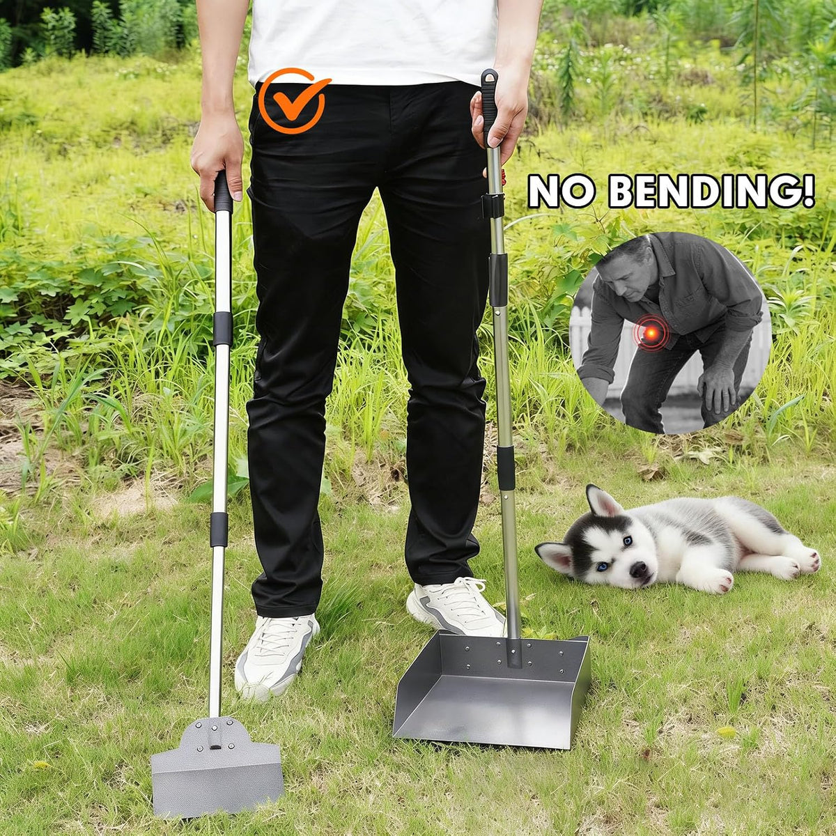 Compact medium dog waste removal tools stored neatly inside a garage setup