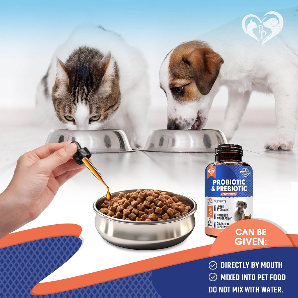 Beloved Pets dog and cat digestive health supplement for upset stomach relief