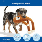Close up of Barkbox Sasquatch Josh facial features