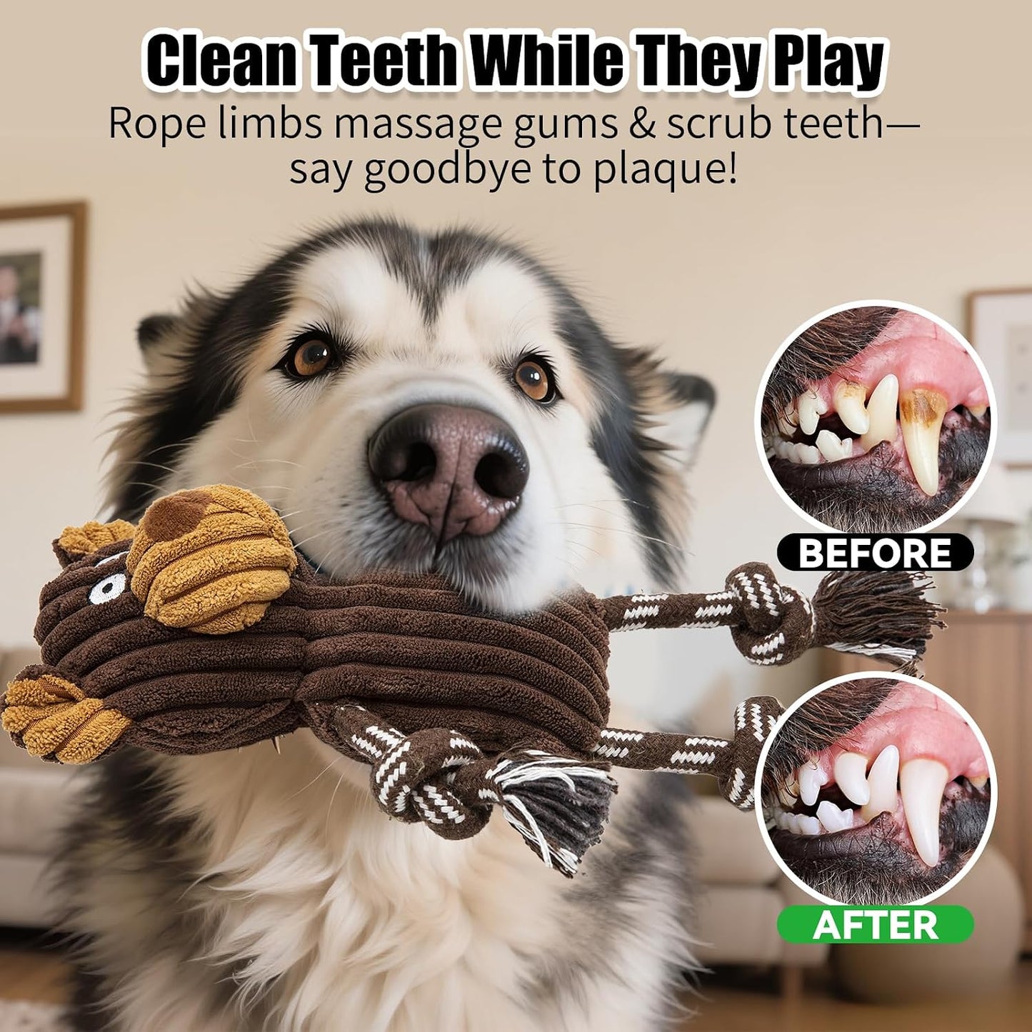 Small and large dogs playing with Luudoogs plush collection