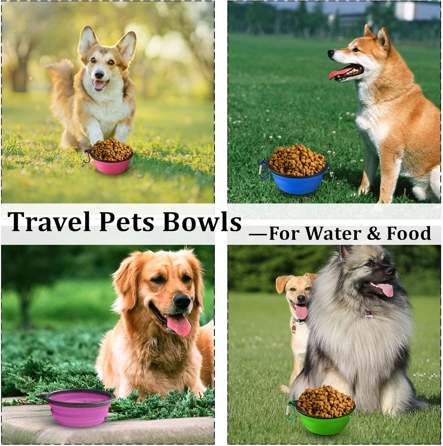 Silicone expandable pet dish attached to a backpack using the carabiner clip