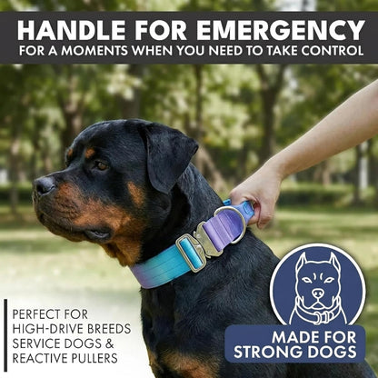 Spark Paws tactical collar showing emergency control handle