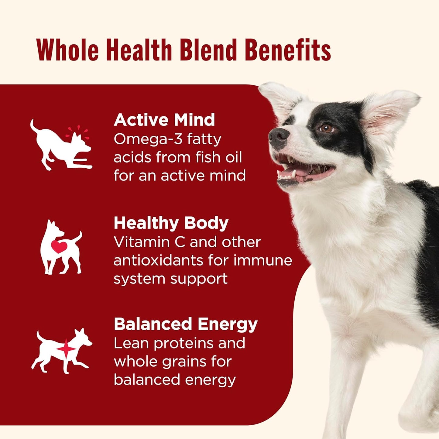 Premium adult canine wet food pate with real beef ingredient label