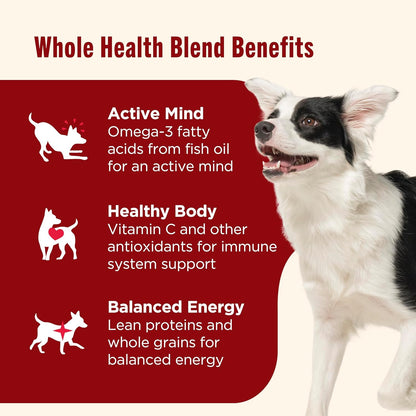 Premium adult canine wet food pate with real beef ingredient label