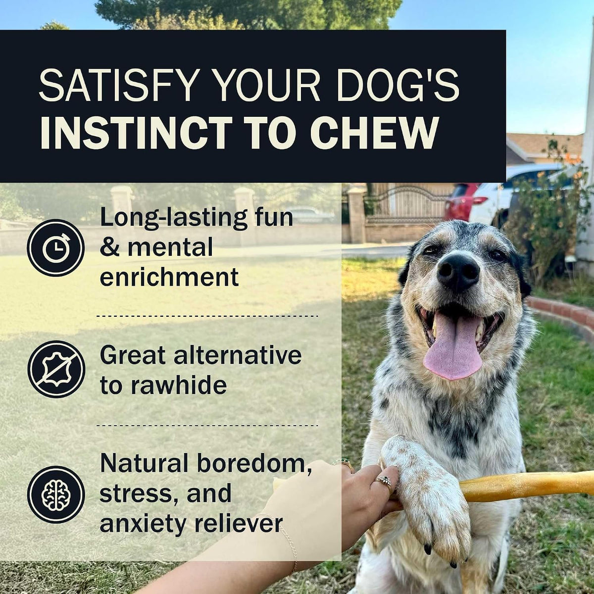 Nutritious beef esophagus and collagen dog chew