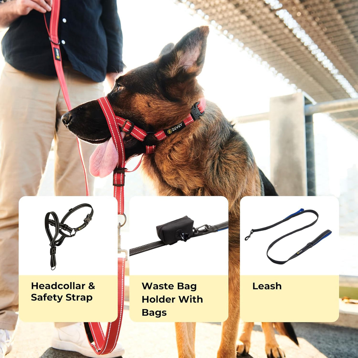 Zevey dog harness buckle and safety strap detail