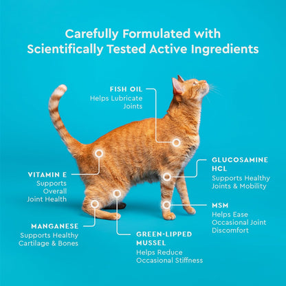Cat eating VetIQ hip and joint supplement treat