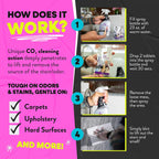 Jackson Galaxy stain remover used on living room carpet