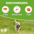 Beloved Pets chicken flavor flea and tick tablets container showcasing supplement benefits