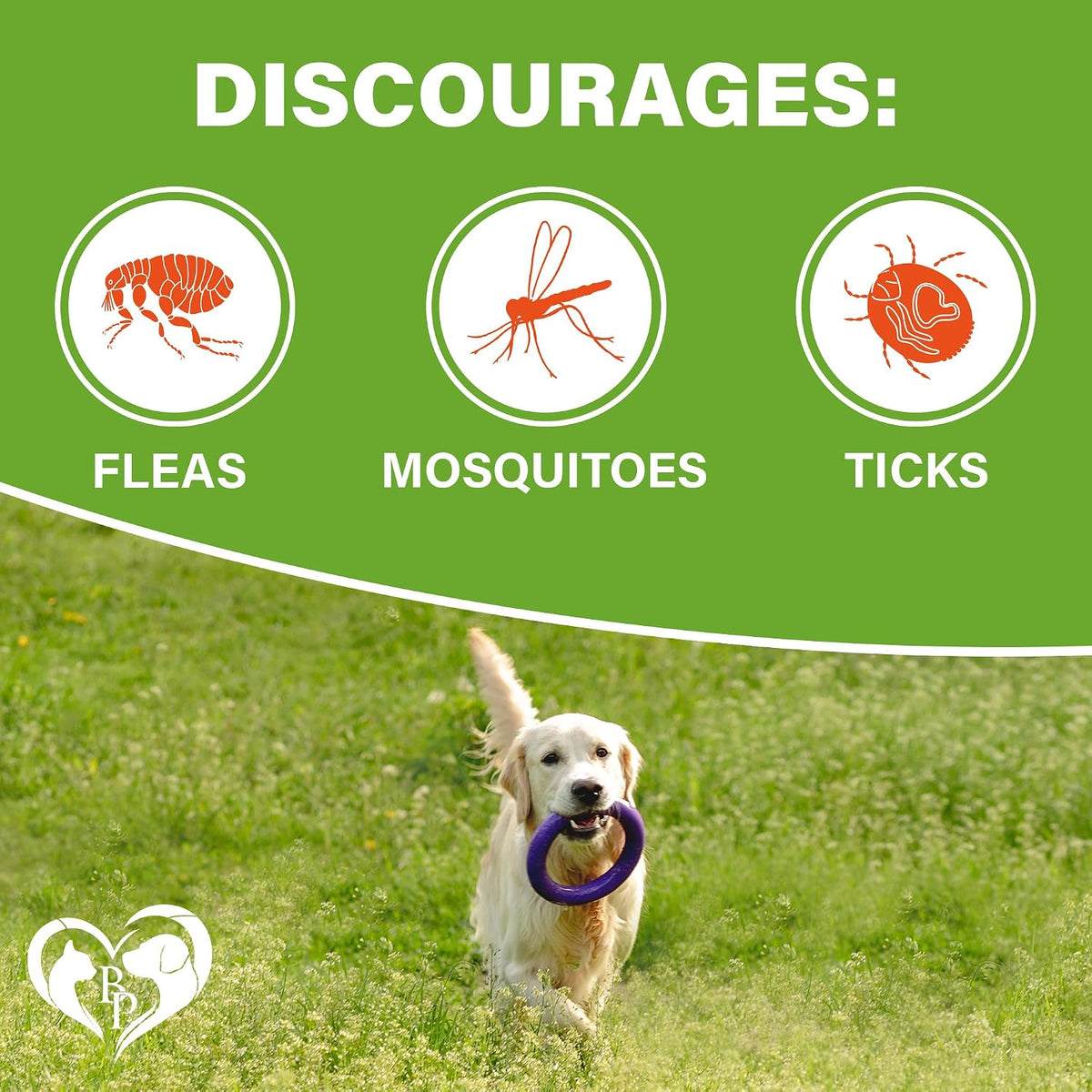 Beloved Pets chicken flavor flea and tick tablets container showcasing supplement benefits