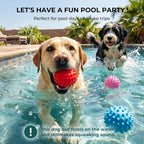 Apasiri natural rubber dog ball showing thickness and durability