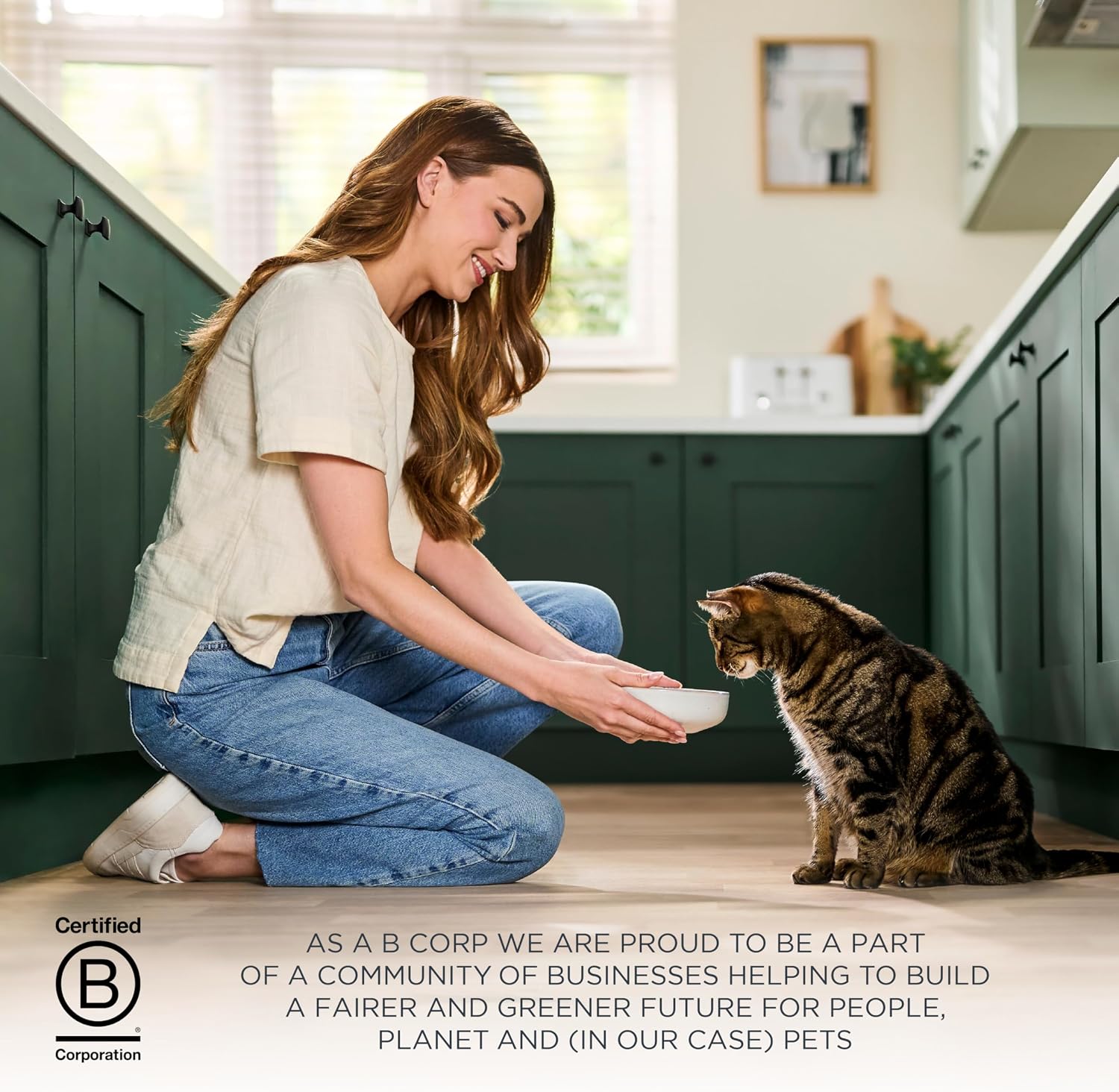 Reveal natural pet food chicken recipe kibble for adult cats