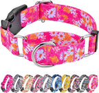 No slip safety dog collar with unique nature inspired print.