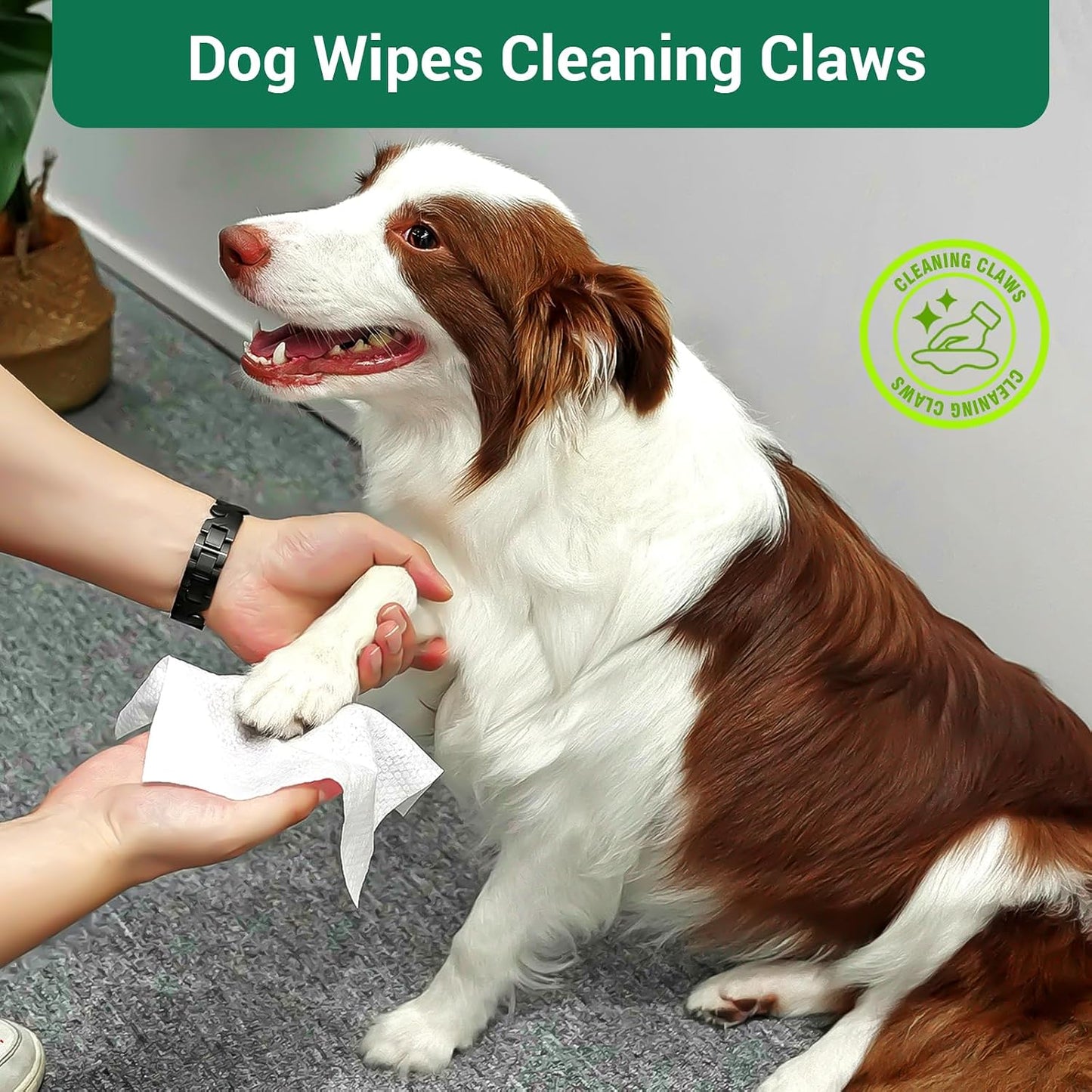 Immcute thick grooming wipes package being opened for daily pet cleaning.