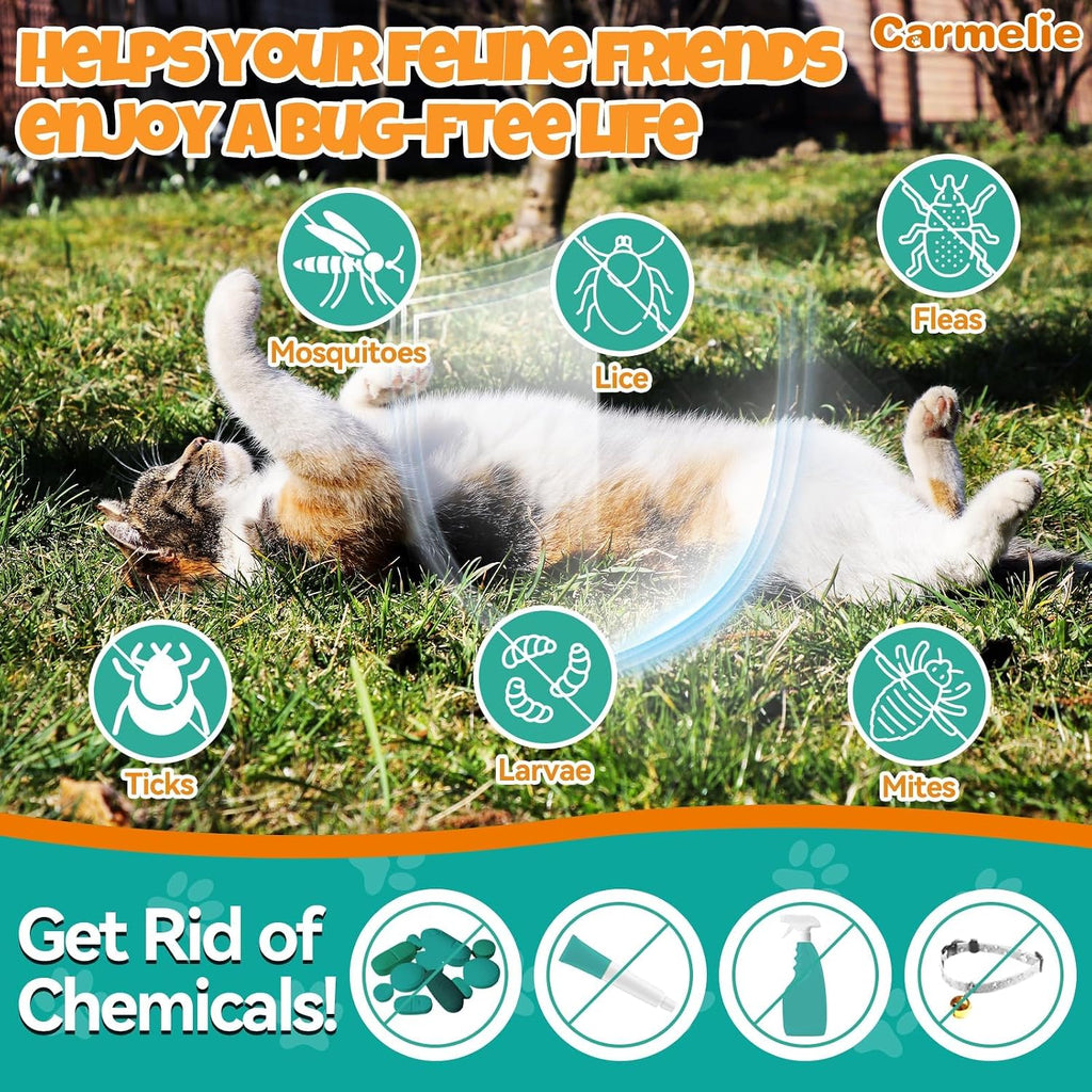 Natural cat flea liquid drops with fish oil for skin and coat care