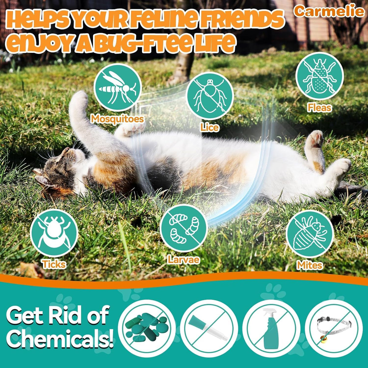 Natural cat flea liquid drops with fish oil for skin and coat care