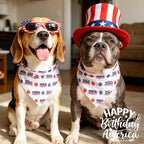 Close up of Icemood American flag dog bandana snap button detail