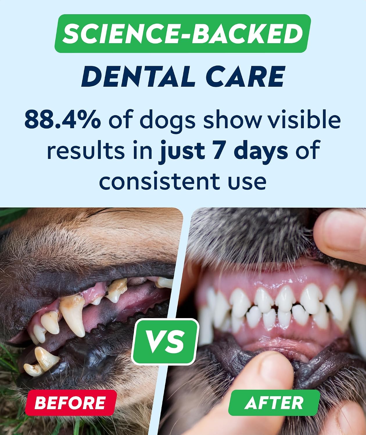 STRELLALAB probiotic formula for dog plaque removal and healthy gums