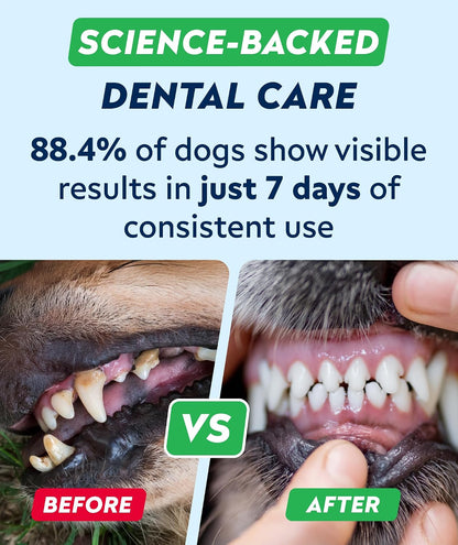 STRELLALAB probiotic formula for dog plaque removal and healthy gums