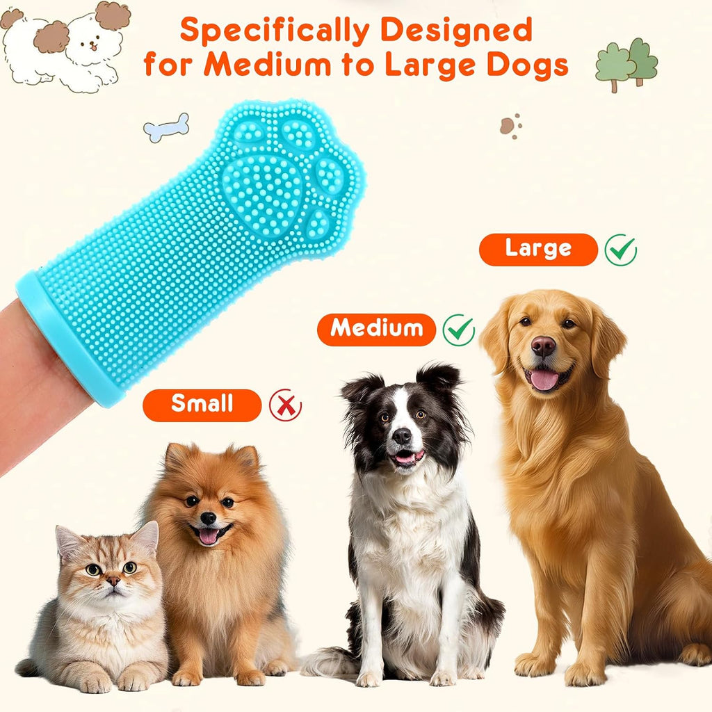 Demonstration of using finger toothbrush on dog teeth