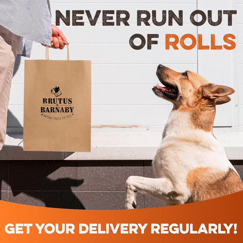 Authentic Brutus and Barnaby safe rawhide alternative chews close up.