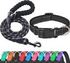Ladoogo dog collar and leash set on medium dog