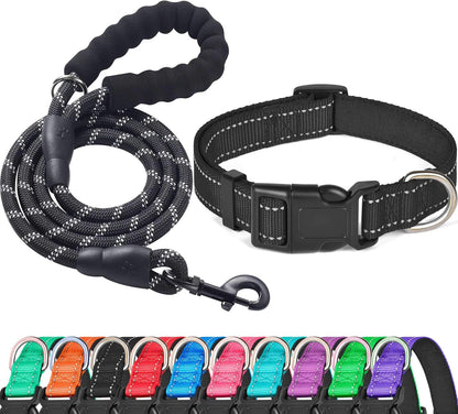 Ladoogo dog collar and leash set on medium dog