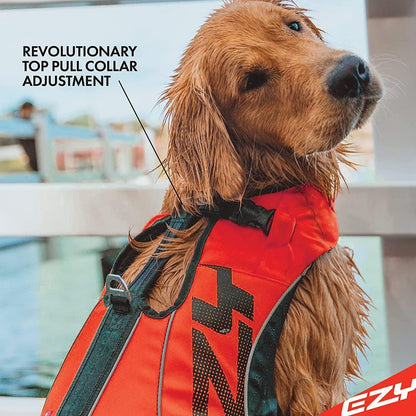 EzyDog extra large dog life preserver with reflective trim accents