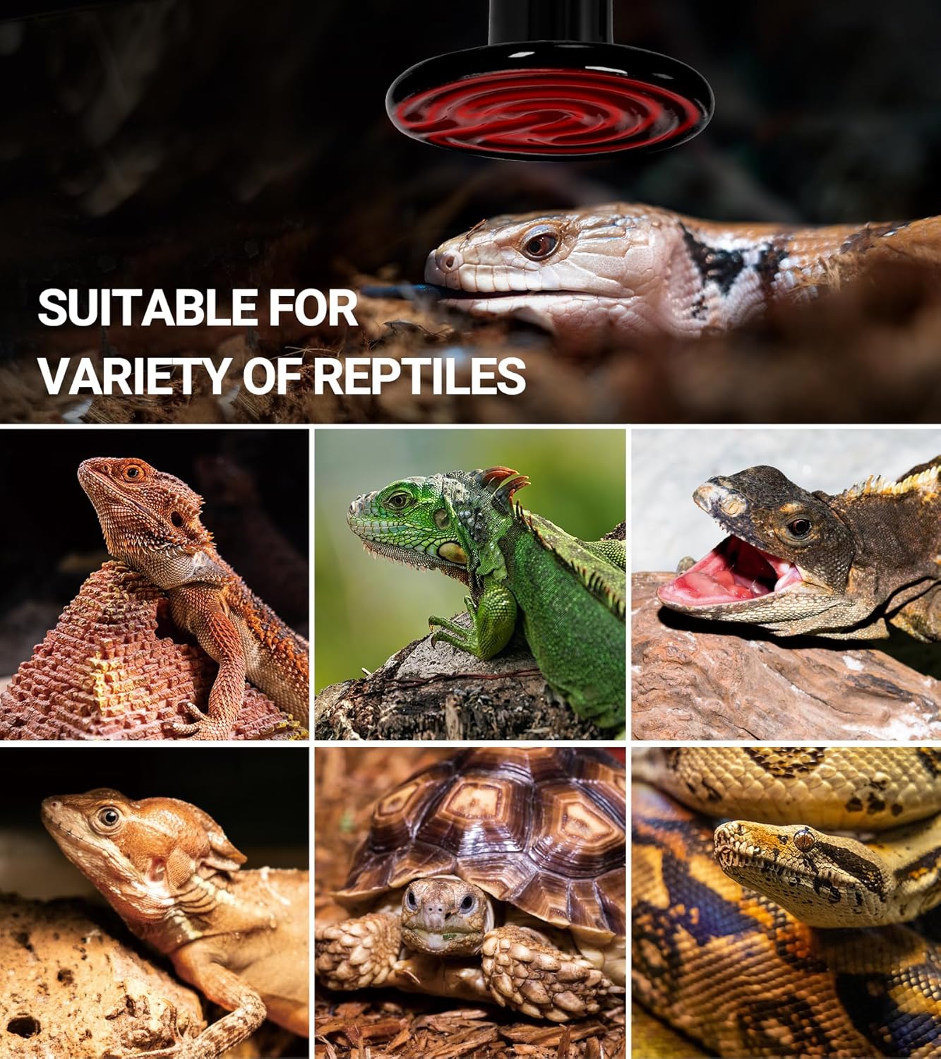 Repti Zoo 100W reptile heat lamp illuminating invisible radiant heat diagram