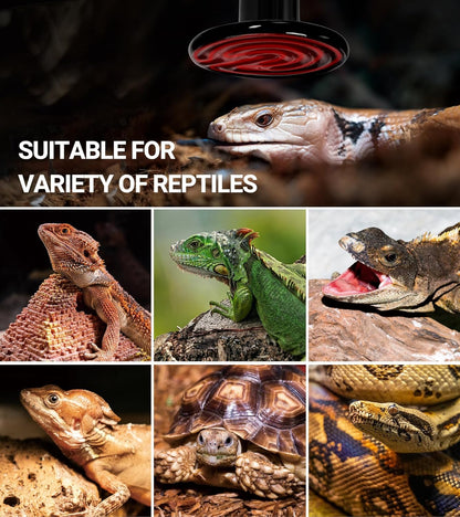 Repti Zoo 100W reptile heat lamp illuminating invisible radiant heat diagram