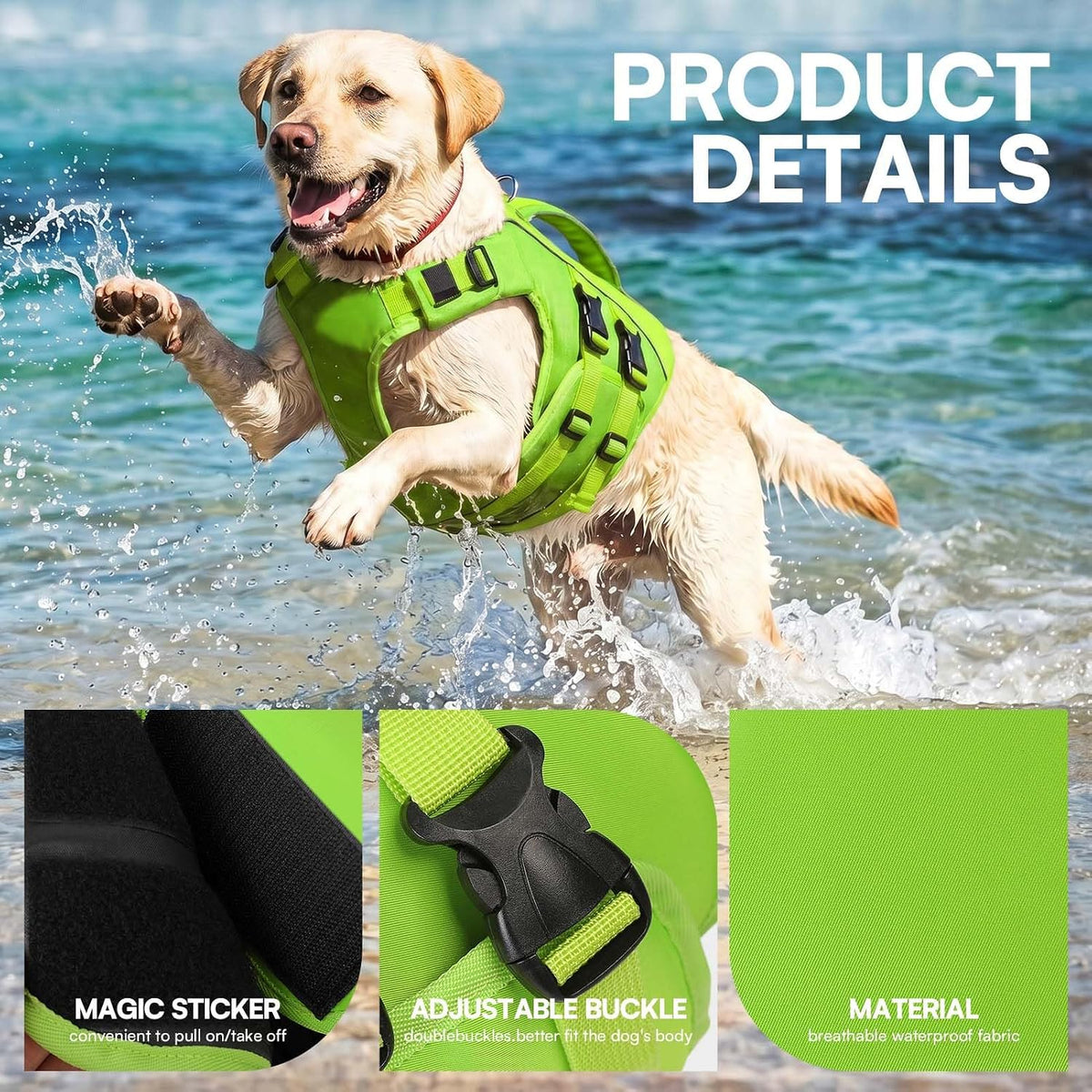 Small dog wearing green reflective pet life preserver for swimming safety