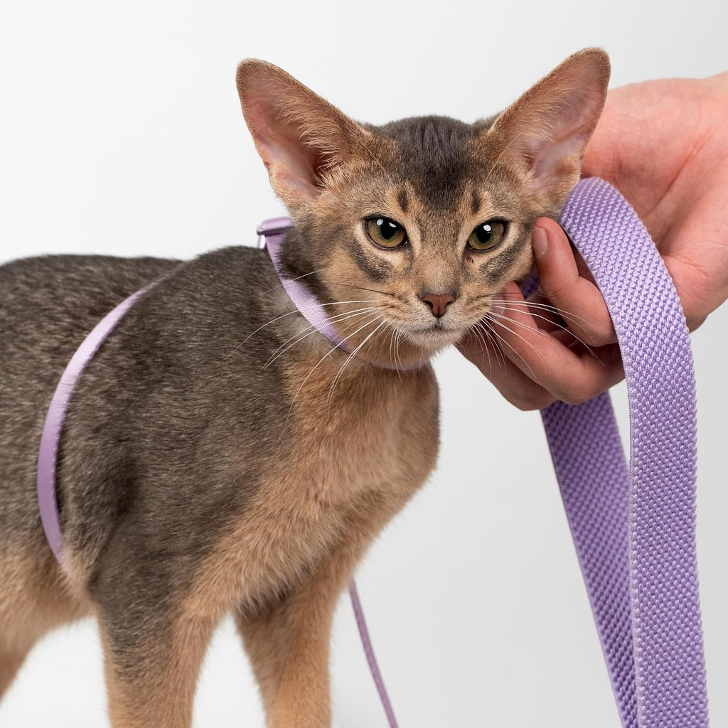 Premium ballistic nylon material detail of the BuddyArmor cat walking system.