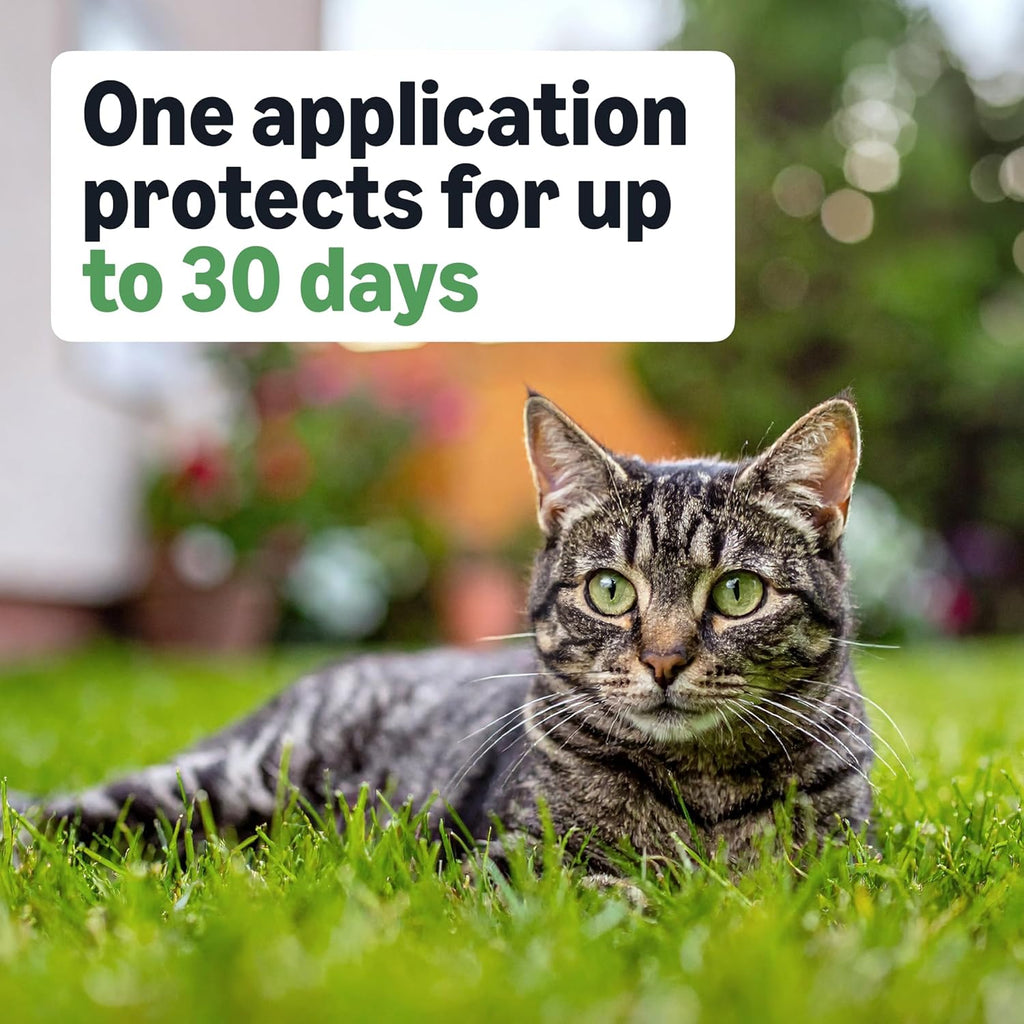 Fipronil and S methoprene topical pest protection for kittens and cats