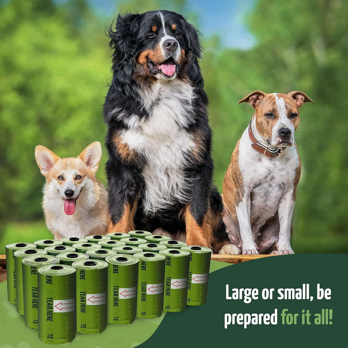 Reli green capsule leash dispenser attached to a nylon dog leash