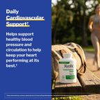 Kyolic Aged Garlic Extract Cardiovascular Health* Formula 100, 300 Capsules - Image 4