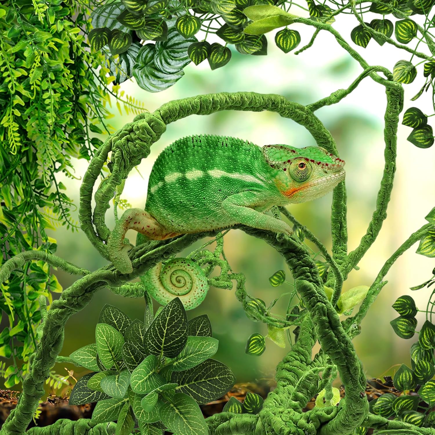 Full view of naturalistic habitat setup with Quozuo artificial plants.