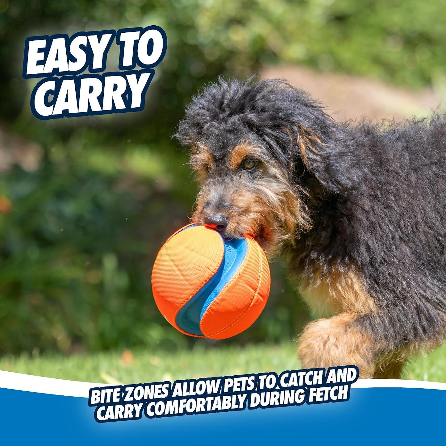 Chuckit! Kick Fetch ball on green grass background