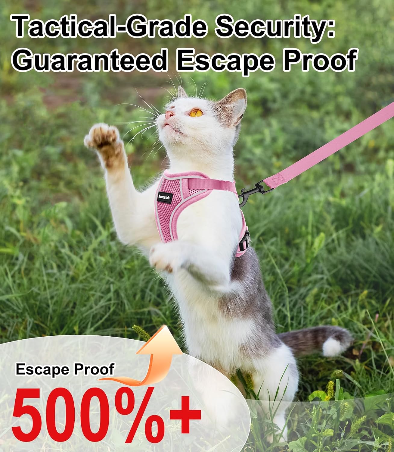 Kaazylab breathable mesh cat vest with matching leash