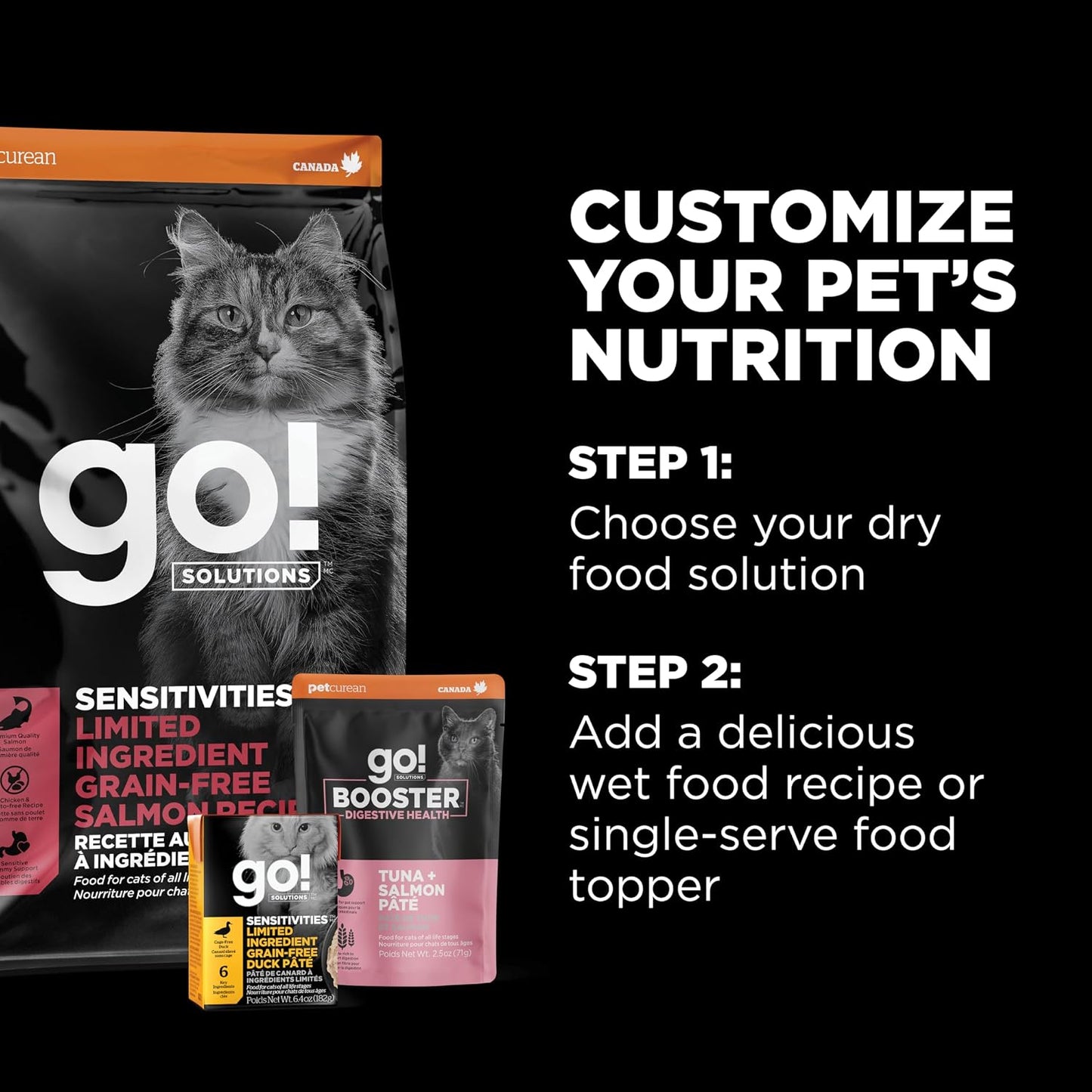 Go Solutions premium salmon dry cat food kibble for kittens adults and senior cats