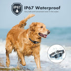 NBJU anti bark collar with probe protective covers