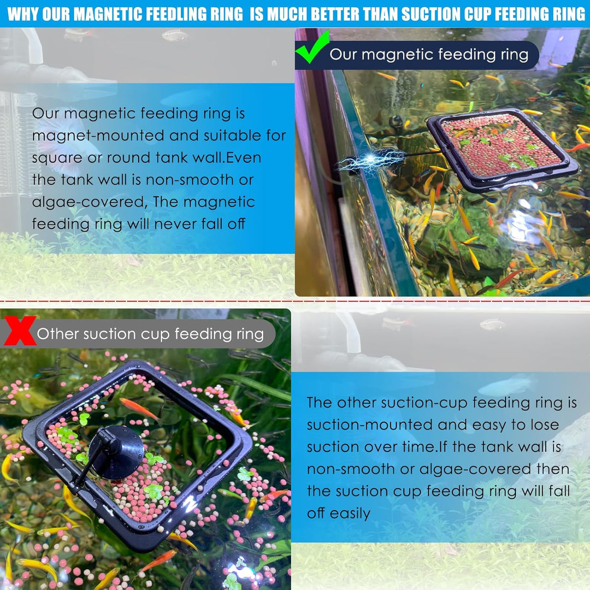 Square floating aquarium feeder ring showing secure magnetic attachment